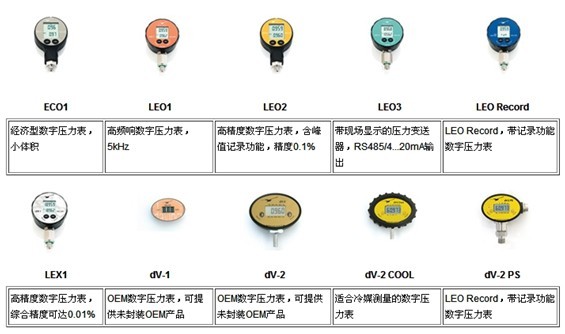 Keller數(shù)字壓力表