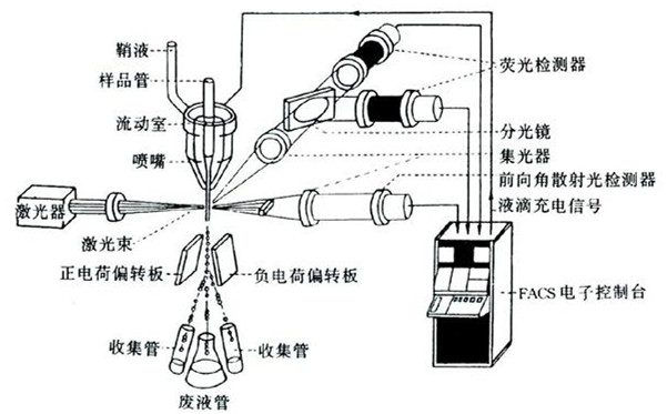 ,賀德克傳感器應用